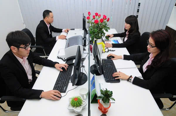 lĩnh vực hoạt động